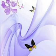 花开富贵95的个人资料头像