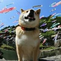 吃瓜群众前排卖瓜子头像