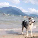 侧身打腿的个人资料头像