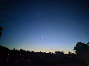 楠晨洋的个人资料头像