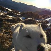 吕珏伟的个人资料头像