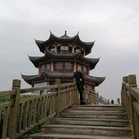 我的大沃沃头像