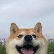 雨越下越大的个人资料头像