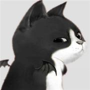 疯狂的猫咪的个人资料头像