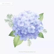 他从海的那边来的个人资料头像