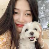 吕吕646头像