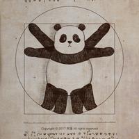 波波球与皮卡丘头像