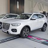 衡水哈弗直销顾张冰栩头像