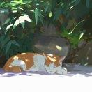 风轻的个人资料头像