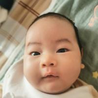 李家大壮壮头像