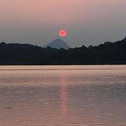 蓝森林的个人资料头像