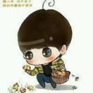 菜菜君的个人资料头像