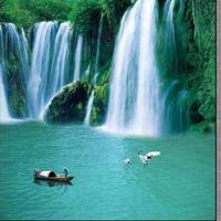 成熟麻酱TQo头像