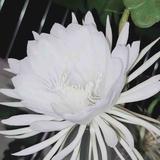 用户6646440373791头像