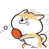 泰迪巨无霸头像
