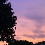 陈哈哈920头像