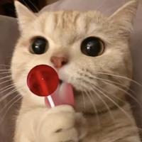 住在山里针卟綽头像