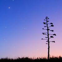 我只好买a6了头像