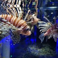 舍得95舍得头像