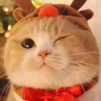 用户1039203861760头像