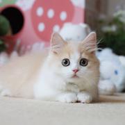 yhyuanhong的个人资料头像