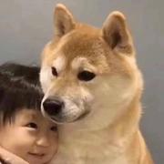 梨儿超的个人资料头像