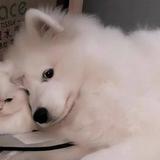 用户7459974541595头像