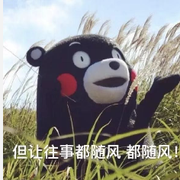 小马别过河的个人资料头像