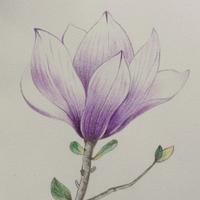 晴空深雨后头像