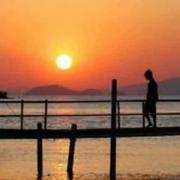 孤落的个人资料头像