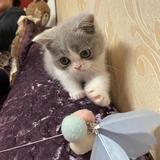 斜风浥尘头像