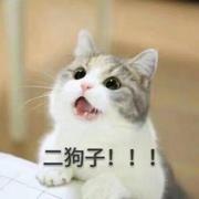 RPengFei的个人资料头像