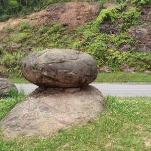 车知识小圈头像