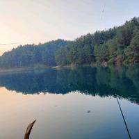 勇往直前yangxing123头像