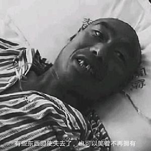 一口吃成肉球头像