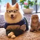 团先生的个人资料头像