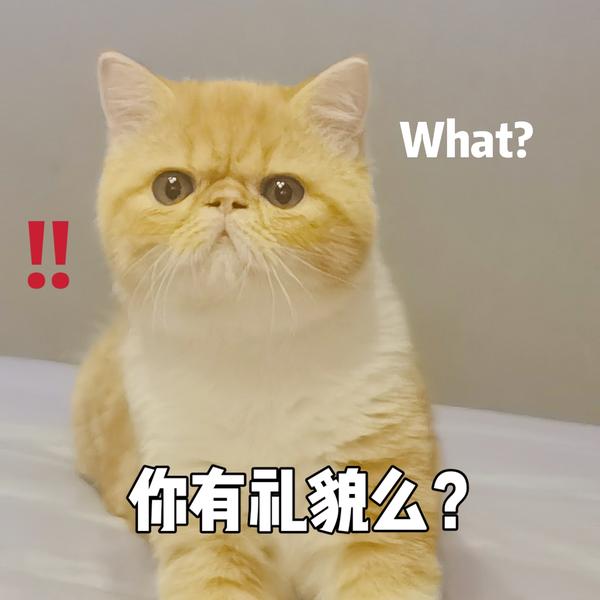 摩托再好也要骡拉头像