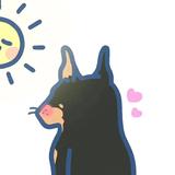 吃定彩虹372头像