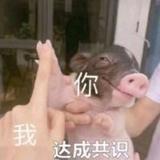 亲切香瓜CqK头像