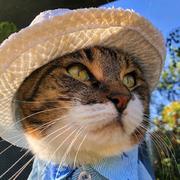 空白271的个人资料头像