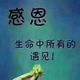 锦上花装饰头像