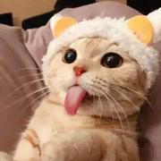 啊BOBO的个人资料头像