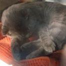 恒就是我67980的个人资料头像