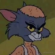 Shuaige的个人资料头像