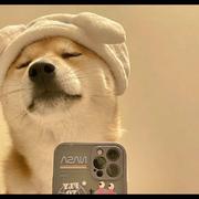 Bo615的个人资料头像