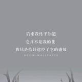 繁华若饰头像