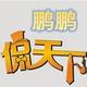 鹏鹏侃天下头像