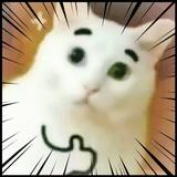 Pandora36D头像