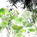 韩子敬1头像