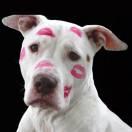 Costroot的个人资料头像